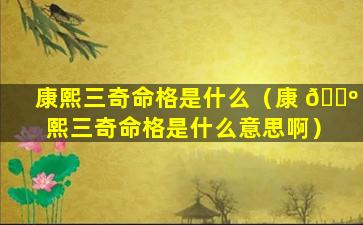 康熙三奇命格是什么（康 🐺 熙三奇命格是什么意思啊）